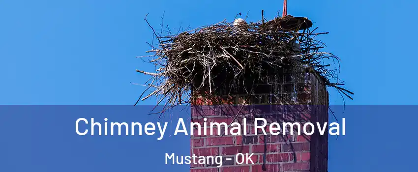  Chimney Animal Removal Mustang - OK