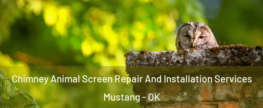  Chimney Animal Screen Repair And Installation Services Mustang - OK