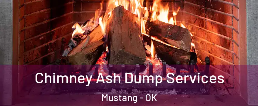 Chimney Ash Dump Services Mustang - OK