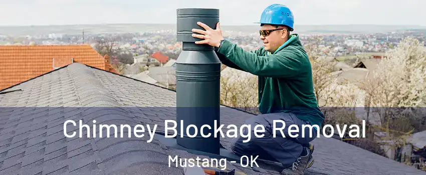  Chimney Blockage Removal Mustang - OK