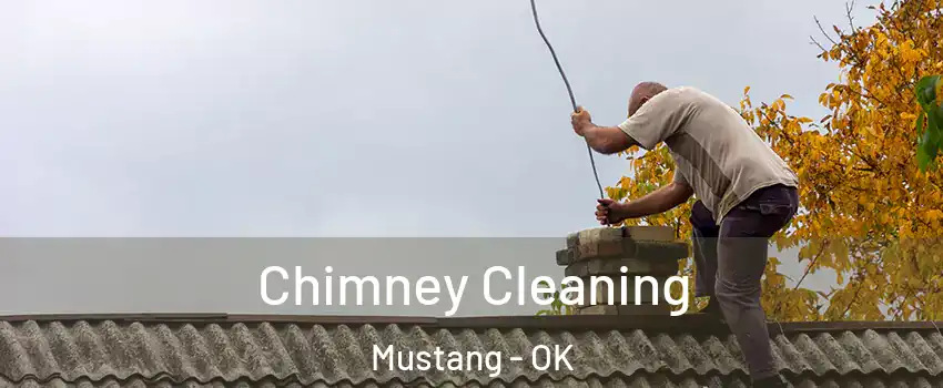  Chimney Cleaning Mustang - OK