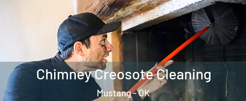  Chimney Creosote Cleaning Mustang - OK