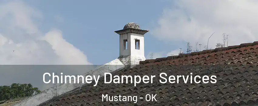  Chimney Damper Services Mustang - OK