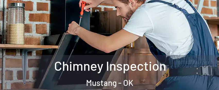  Chimney Inspection Mustang - OK