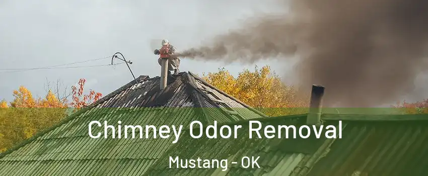 Chimney Odor Removal Mustang - OK