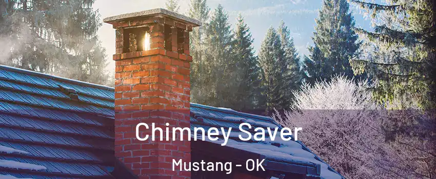  Chimney Saver Mustang - OK
