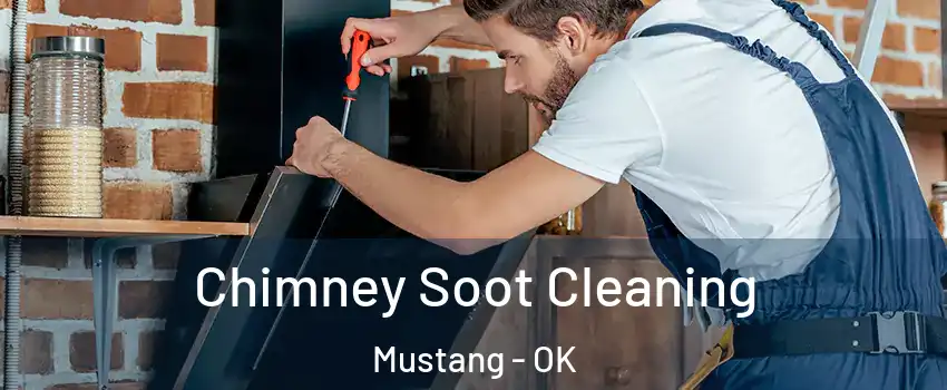  Chimney Soot Cleaning Mustang - OK