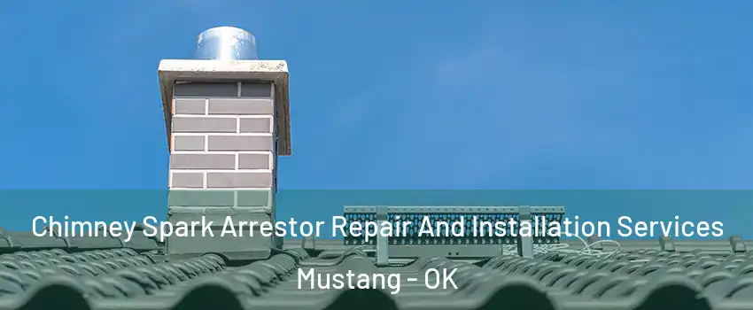  Chimney Spark Arrestor Repair And Installation Services Mustang - OK