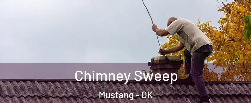  Chimney Sweep Mustang - OK