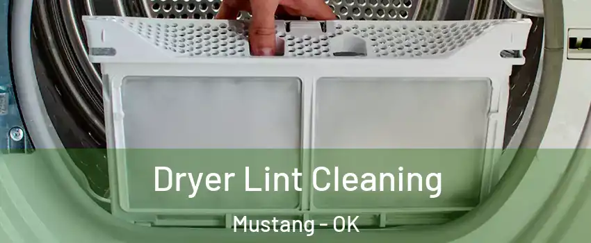  Dryer Lint Cleaning Mustang - OK