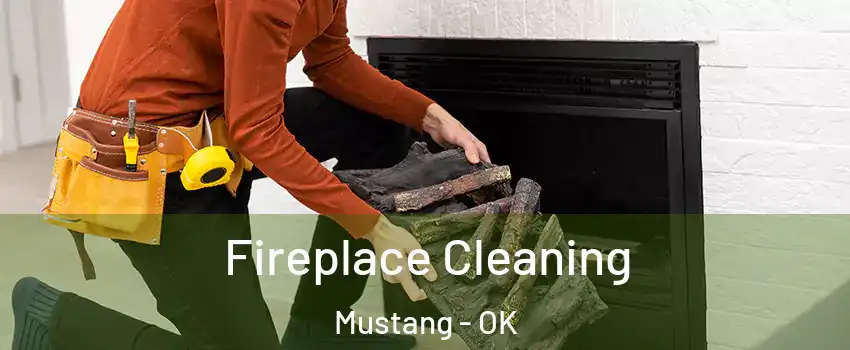  Fireplace Cleaning Mustang - OK