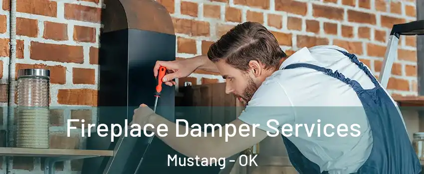  Fireplace Damper Services Mustang - OK
