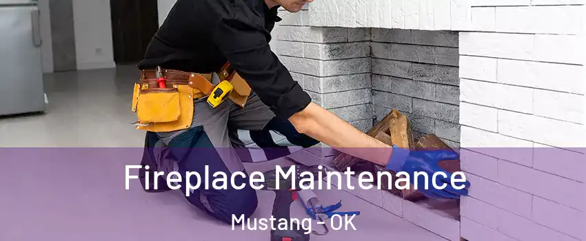  Fireplace Maintenance Mustang - OK