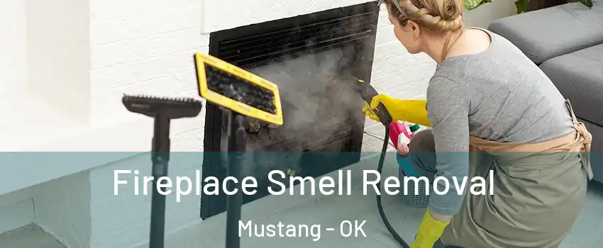  Fireplace Smell Removal Mustang - OK