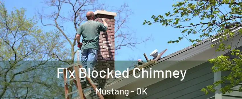  Fix Blocked Chimney Mustang - OK