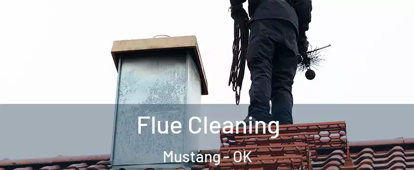  Flue Cleaning Mustang - OK