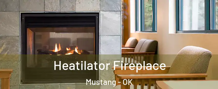  Heatilator Fireplace Mustang - OK