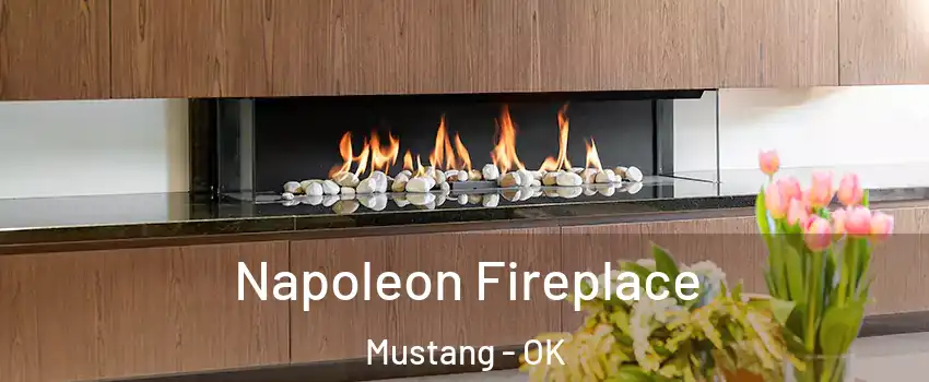  Napoleon Fireplace Mustang - OK