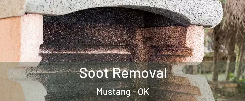  Soot Removal Mustang - OK