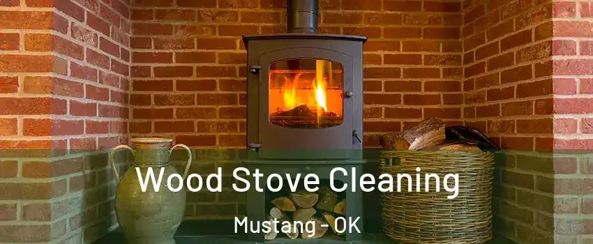  Wood Stove Cleaning Mustang - OK